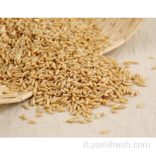 Ricetta di riso di avena